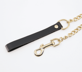 Love In Leather BDSM Chain Lead With Coloured Hardware Collars and Leads